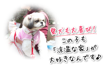 愛犬も大喜び！愛犬も「涼温な家」が大好きなんです。