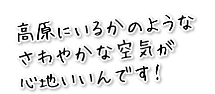 高原にいるかのようなさわやかな空気が心地いいんです！