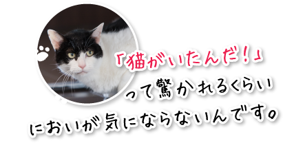 「猫がいたんだ！」って驚かれるくらいにおいが気にならないんです。