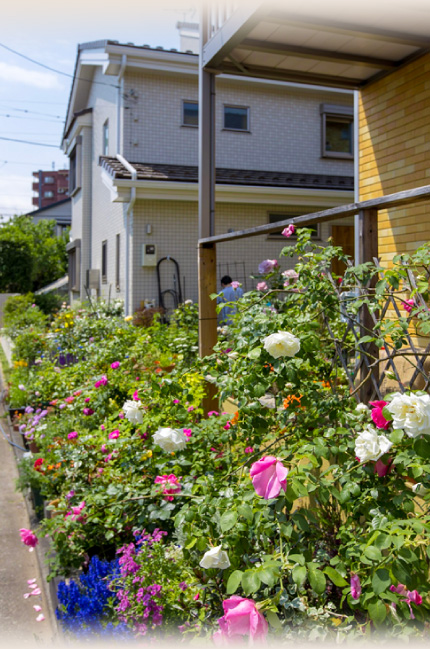 薔薇の花に囲まれた外観 F様邸